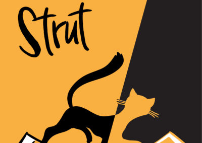 B&H – Stray Cat